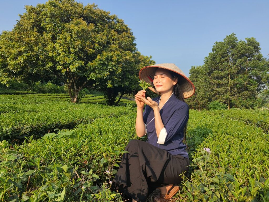 The foundation of Thu Huong green tea 11