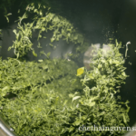 The foundation of Thu Huong green tea 5