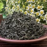 ảnh trà búp -Trà móc câu, trà nõn tôm là gì? Chúng có phải là một?