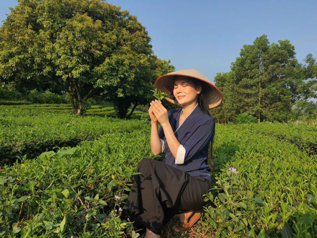 thu hương và chè thái nguyen