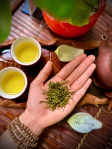 ảnh cánh chè thái nguyên 12