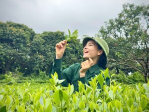 ảnh chén chè thái nguyên 1