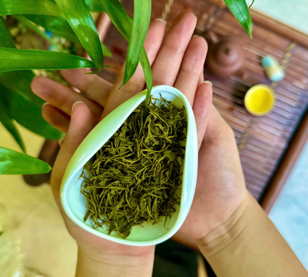 ảnh cánh chè_Chè Thái Nguyên