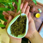 ảnh cánh chè_Chè Thái Nguyên