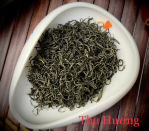 ảnh cánh chè thái nguyên THU HƯƠNG