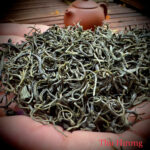 ảnh cánh chè thái nguyên 6