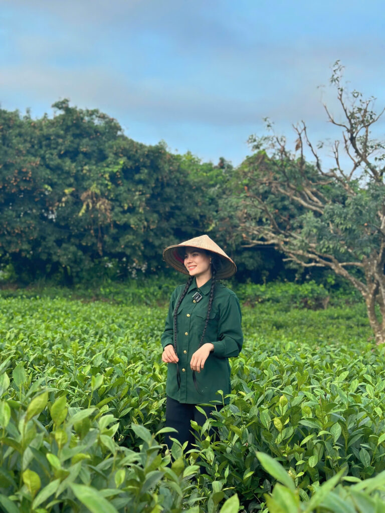 thu hương và đồi chè xanh thái nguyên