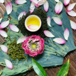 ảnh chè thái nguyên và sen 1